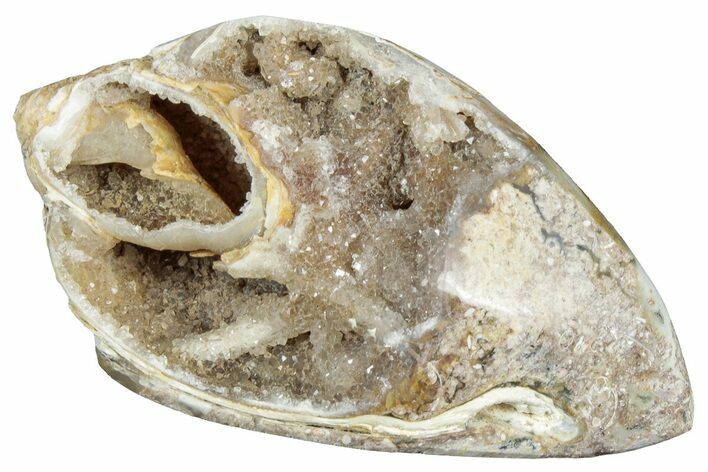 Chalcedony Replaced Gastropod With Sparkly Quartz - India #320832